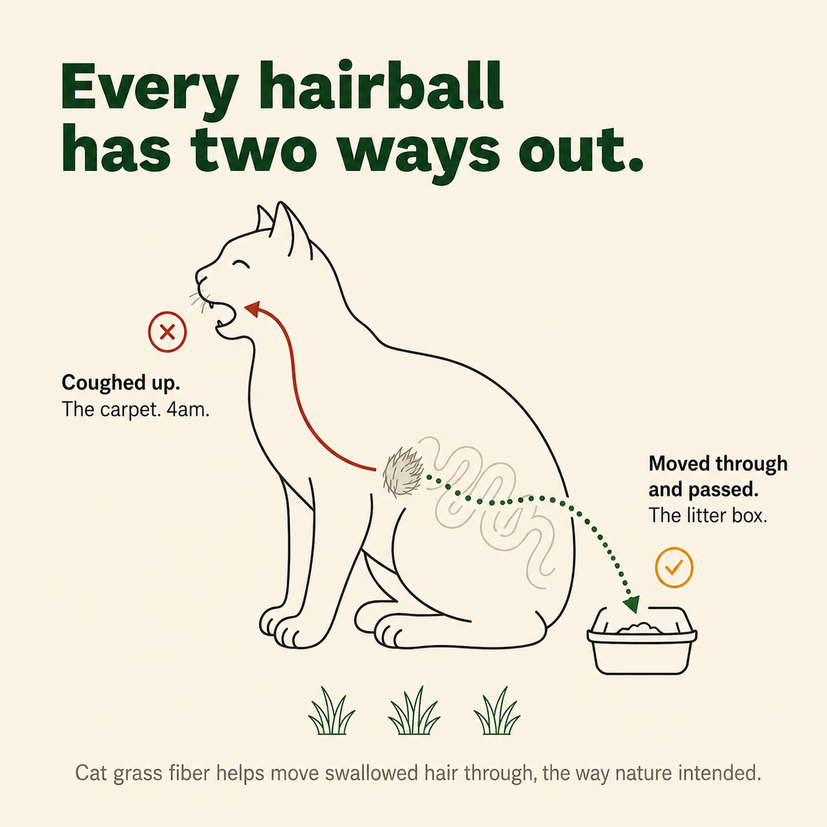 Freeze-dried cat supplements for hairball relief