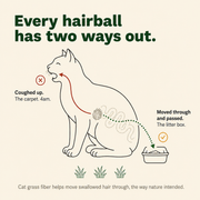 Freeze-dried cat supplements for hairball relief