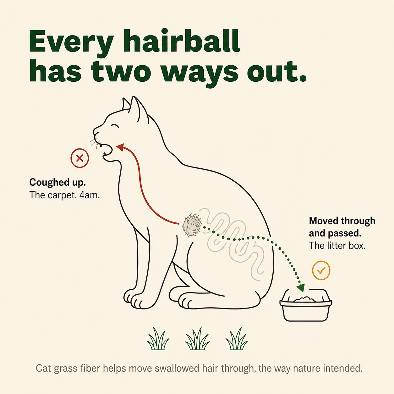 Freeze-dried cat supplements for hairball relief