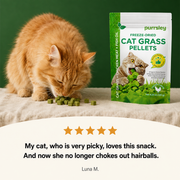Freeze-dried cat supplements for hairball relief