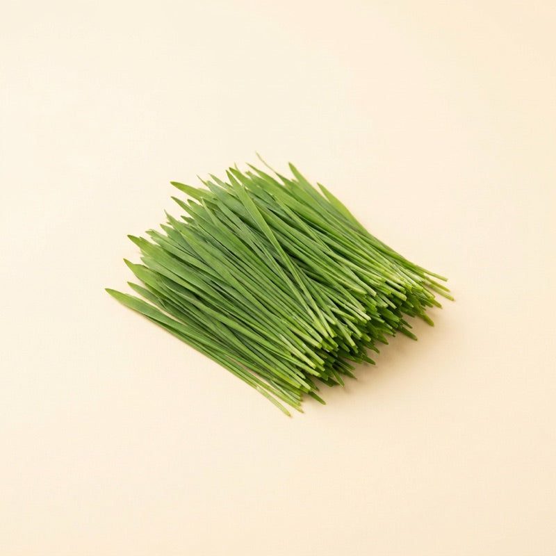 Cat Grass (Freeze-Dried)