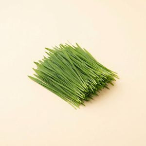 Cat grass